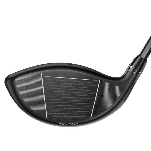 Demo Cobra DS-ADAPT X Herre Driver