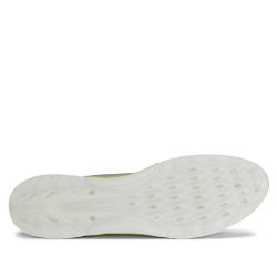 Ecco  Biom C4 Herre Golfsko Concrete