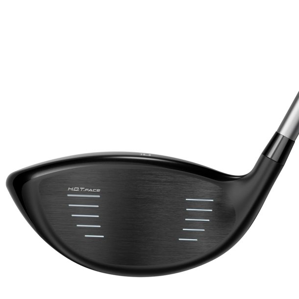 Demo Cobra AIR-X Offset Dame Driver